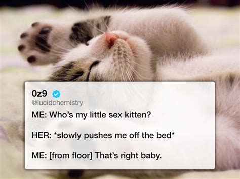 37 Memes That Prove Everyone Thinks They Re A Sexpert