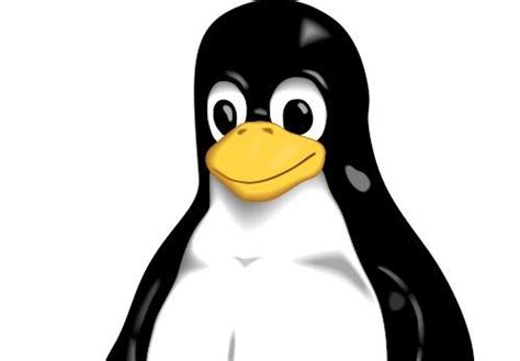 linux kernel    bit  arm tgdaily