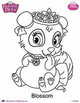 Coloring Palace Pets Pages Princess Disney Printables Mulan Skgaleana Printable Blossom sketch template