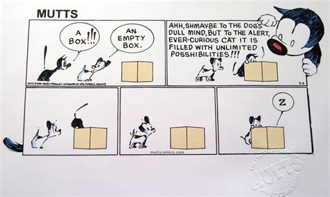 funny   day mutts comics cartoon quotes cat comics
