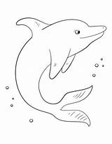 Dolphin Coloring Pages Cute Baby Drawing Line Printable Kids Dolphins Easy Color Bottlenose Preschool Colorin Getdrawings Drawings Print Animals Commons sketch template