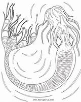 Traceable Sherpa Cinnamon Mermaid Cooney Acrylic sketch template