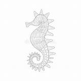 Kleurende Onderwater Aard Volwassen Zentangle Boekillustratie Overzeese Seahorse sketch template