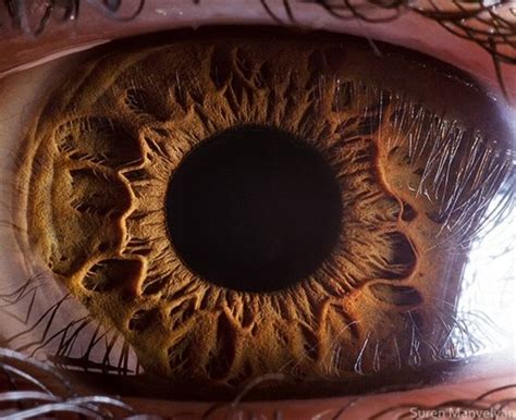 fascinante foto de um olho nos seus minimos detalhes