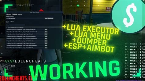 Fivem Cheat Lua Executor Working Lua Menu Eulen Menu