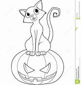 Halloween Cat Coloring Pages Scary Pumpkin Sitting Vector Print Spooky Printable Clipart Drawing Stock Color Getcolorings sketch template