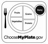 Myplate Pages Usda sketch template