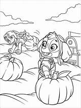 Patrol Paw Halloween Coloring Pages Pumpkin Kids sketch template