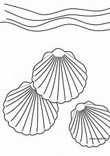 Coquillage Muschel Seashell Ausmalbilder Coloriages Printable Colouring Letzte Malvorlagen sketch template