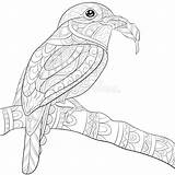 Volwassen Vogel Kleurende Leuke Ontspannen Stijlillustratie sketch template