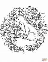 Fox Coloring Pages Printable Red Kids Animal Animals Drawing Nature Cute Supercoloring Adults Adult Sheets Megan Book Forest Mandala Drawings sketch template