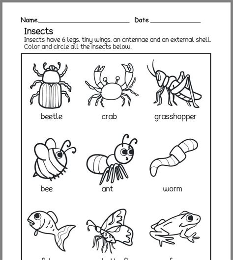 pin  tracy bagley  esl ideas insect activities preschool worksheets preschool