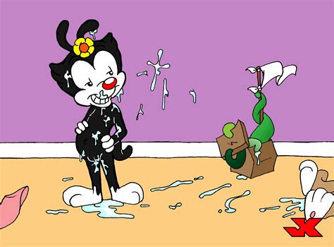 rule 34 after sex animaniacs black fur color cum dot warner female