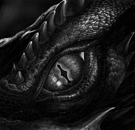 dragon dragon fantasy creature inspiration epic dark digital