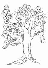 Vogels Lente Bloesem sketch template