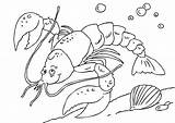 Hummer Langosta Homard Aragosta Kreeft Dibujo Malvorlage Coloriage Coloriages Animaux Stampare Ausmalbilder Ausmalbild Lobster Kleurplaten Ausdrucken Téléchargez sketch template