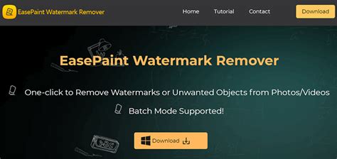 remove watermark   photo easepaint watermark expert