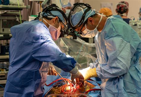 musc surgeons perform  dcd heart transplant  south carolina