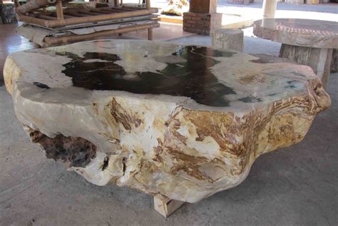 indogemstone petrified wood table