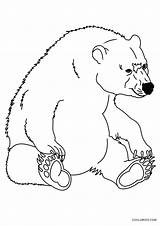 Bear Coloring Pages Kids Printable Print sketch template