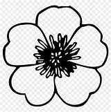 Flower Petal Coloring Pages Pattern Big Clipart sketch template