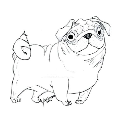 pug puppy coloring pages  getcoloringscom  printable colorings