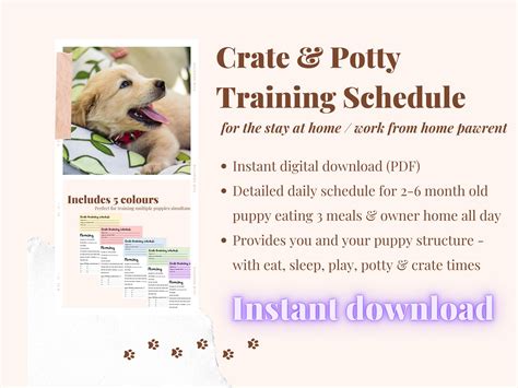 puppy potty crate training schedule  stay  home etsy