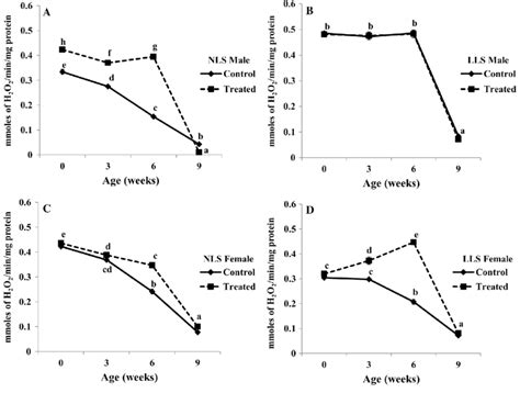 Catalase Activity In Normal Lifespan Nls And Long Lifespan Lls
