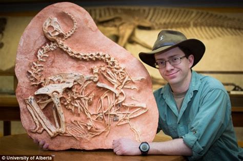 paleontologists identify differences in dinosaur male and female tail bones daily mail online