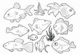 Coloring Diver Pages Deep Sea Getdrawings Getcolorings sketch template