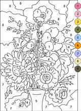 Number Color Coloring Printable Pages Kids Numbers Paint Colouring Adults Colour Numeros Will Plus sketch template