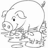 Mud Piglet Pigs Hamm Designlooter sketch template