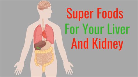 food good  kidney  liver   cleanse  liver  kidneys