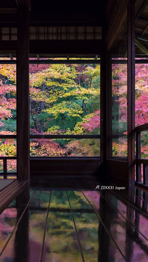 ＜絶景壁紙＞「窓」から愛でる紅葉の壁紙を、あなたのパソコンやスマホに｜zekkei japan