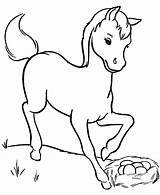 Horse Coloring Pages Template Baby Outline Miniature Sketch Animal Poulain Dessin Farm Templates Facile Horses Color Pony Sheets Print Mom sketch template
