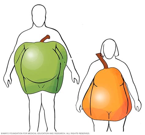 Apple And Pear Body Shapes Mayo Clinic