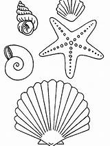 Coloring Pages Starfish Choose Board Echinoderms Drawing Easy Mermaid sketch template