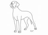 Coloring Dane Great Pages Dog Printable Clipart Library Popular Coloringhome Kids Mastiff Line sketch template