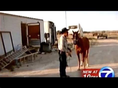 man films horse killing  send message  activists youtube