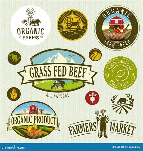 organic farm stock photo image