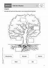  sketch template