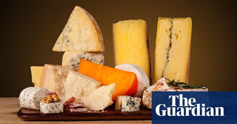 What’s The Best Way To Store Cheese Kitchen Aide Food