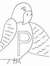 Coloring Pages Parrot Alphabet Letter Parrots Case Color Printable Advertisement Coloringpagebook sketch template