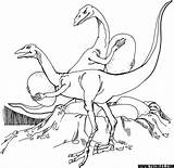 Oviraptor Dibujo Raptor Dinosaurio Allosaurus Tresor Momes sketch template