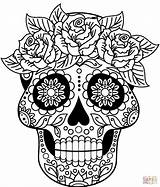 Skull Calaveras Calavera Mandala Skulls Mexicanas Kleurplaten Supercoloring Intricate Calaveritas Suger Druckbare Neue Ausmalbilder Calaberas Mandalas Mexikanische Kleurplaat sketch template