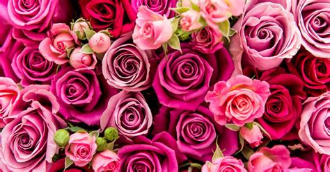 local florist flower shop floral arrangements duluth
