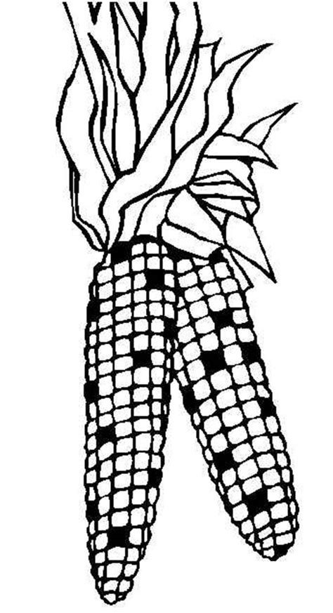 indian corn coloring page coloring home
