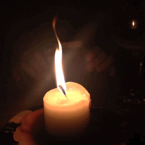 candle by pasquale d silva find and share on giphy