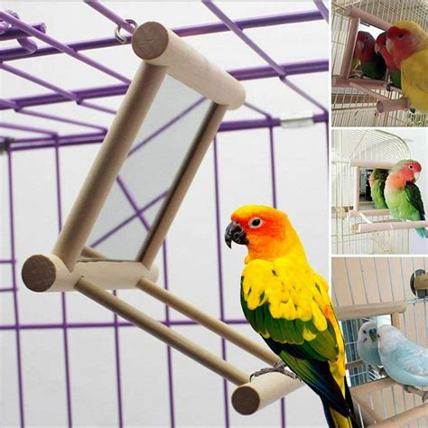 cheersus bird swing parrot cage toysswing hanging play  mirror  greys parakeet