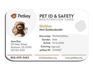 shop id cards  tags petkey